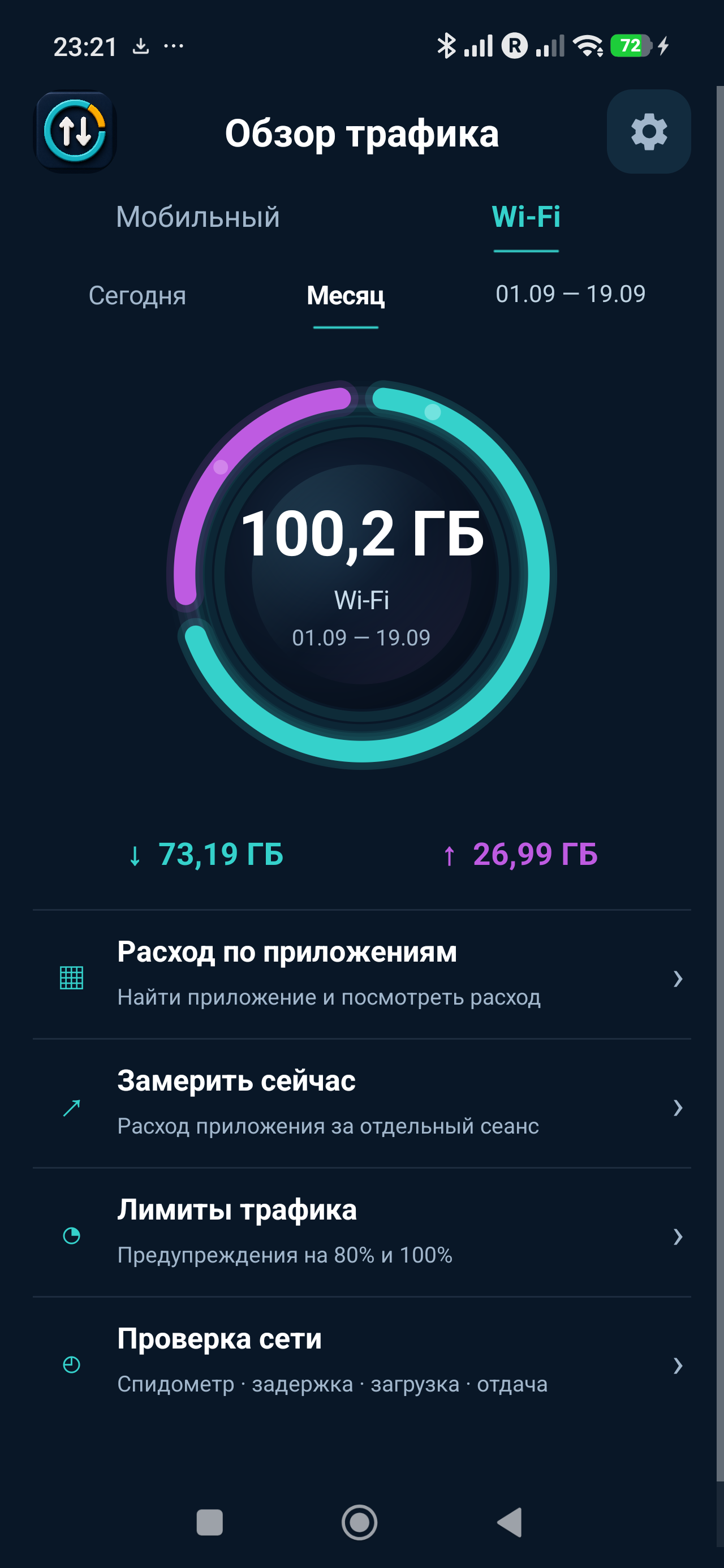 Главный экран с круговой диаграммой трафика